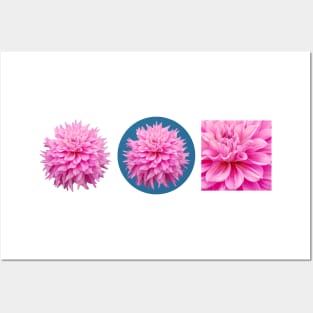 Pink Dahlia Floral Art Posters and Art